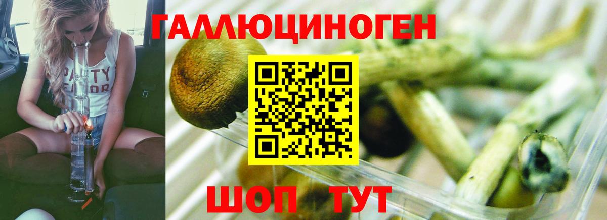 наркошоп  Вход с VPN  Тосно  Галлюциногенные грибы MAGIC MUSHROOMS  Псилоцибиновые грибы Psilocybe 