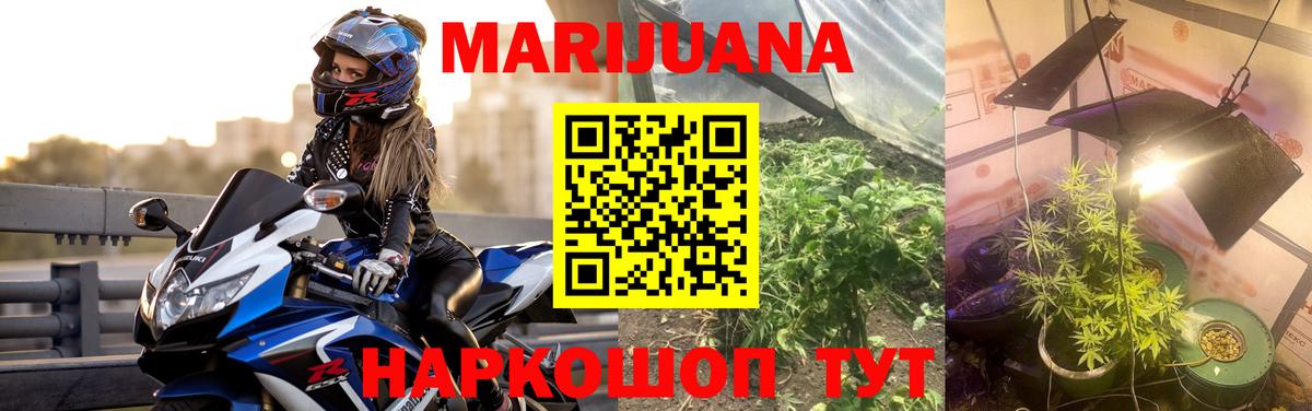 МАРИХУАНА Bruce Banner  Вход с VPN  Тосно  Канабис план  Конопля гибрид 